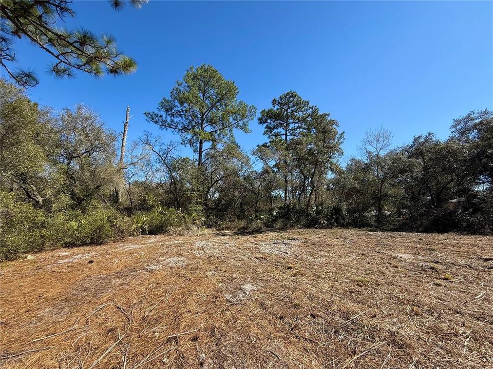 На продажу: $115,000 (1.00 acres)