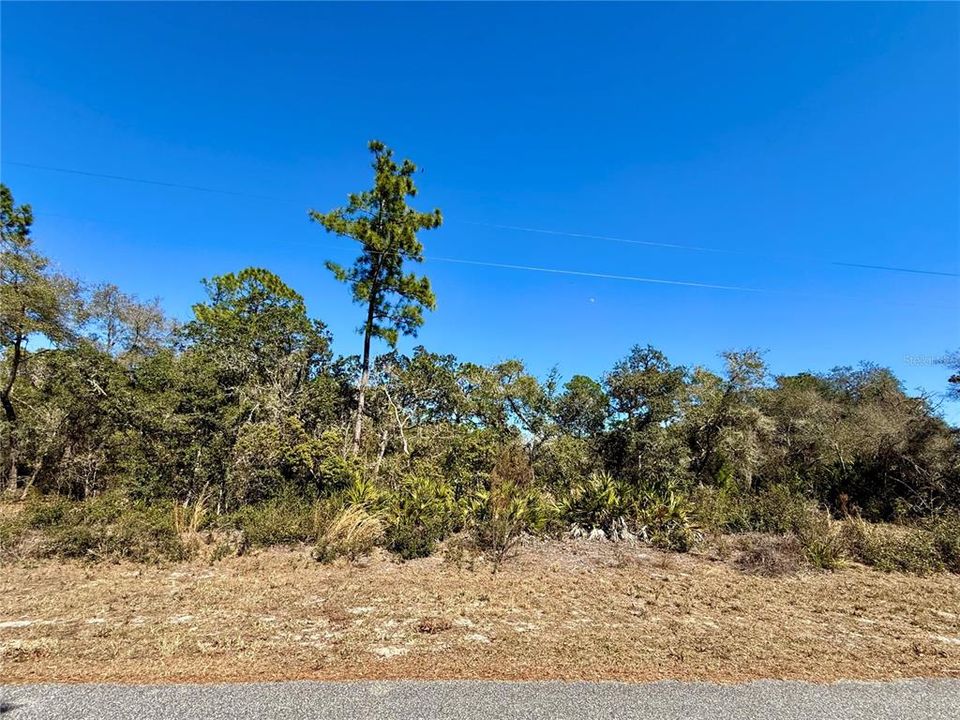 На продажу: $115,000 (1.00 acres)