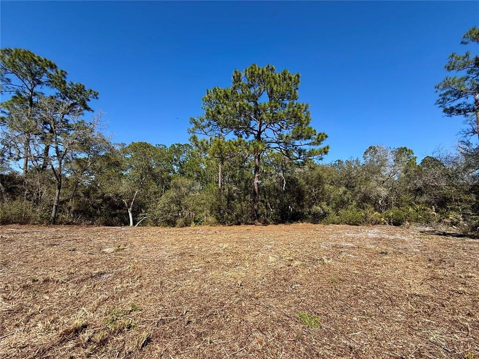 На продажу: $115,000 (1.00 acres)