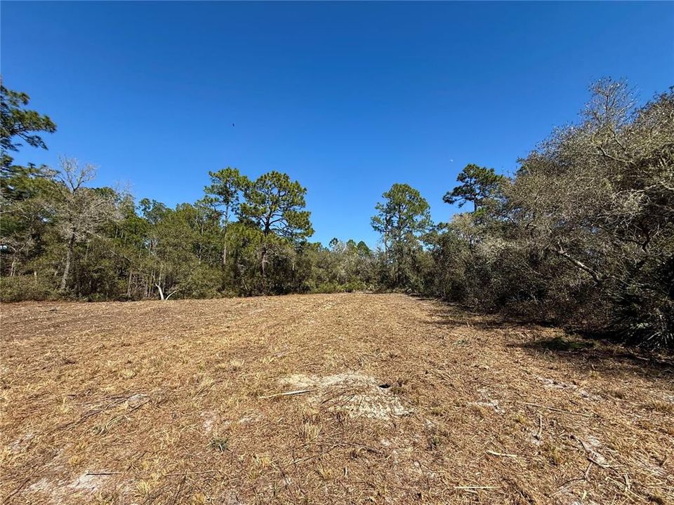 На продажу: $115,000 (1.00 acres)