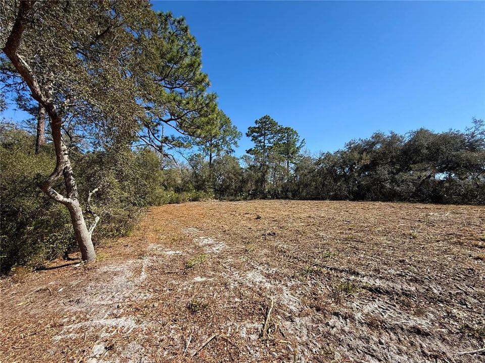 На продажу: $115,000 (1.00 acres)