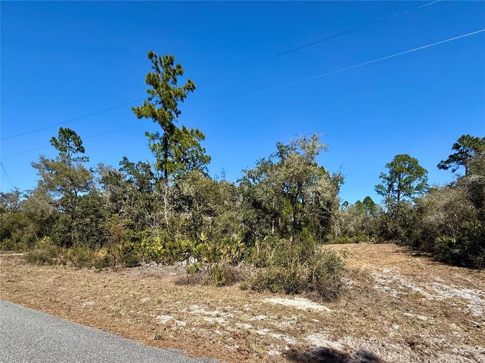 На продажу: $115,000 (1.00 acres)