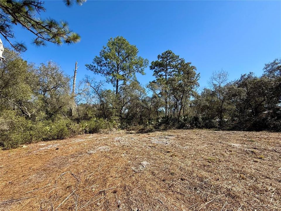 На продажу: $115,000 (1.00 acres)