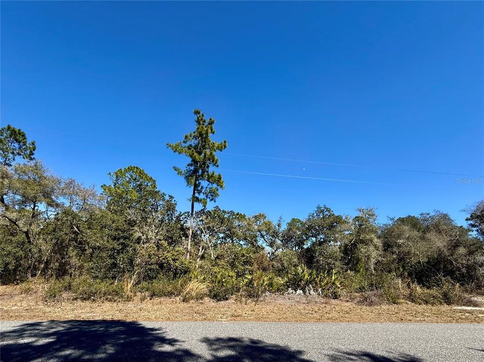 На продажу: $115,000 (1.00 acres)