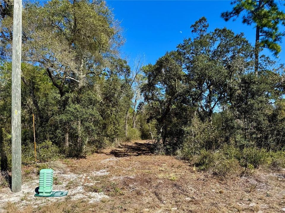На продажу: $115,000 (1.00 acres)
