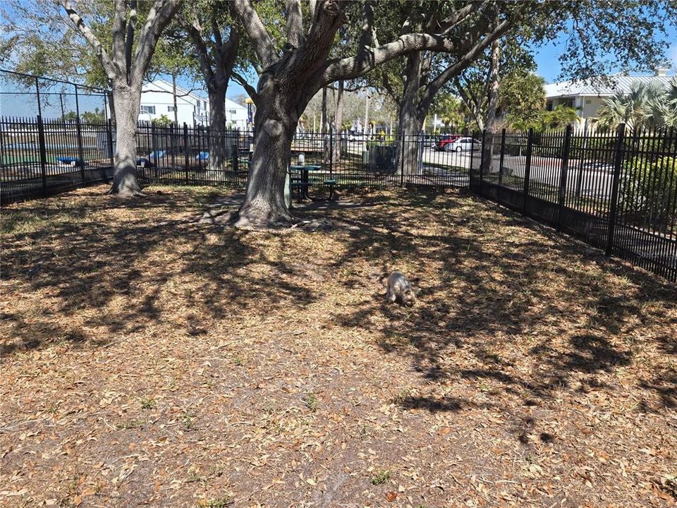 For Sale: $134,000 (1 beds, 1 baths, 322 Square Feet)