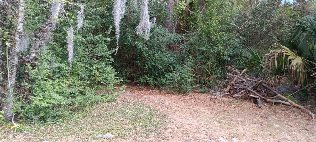 For Sale: $350,000 (4 beds, 2 baths, 1651 Square Feet)