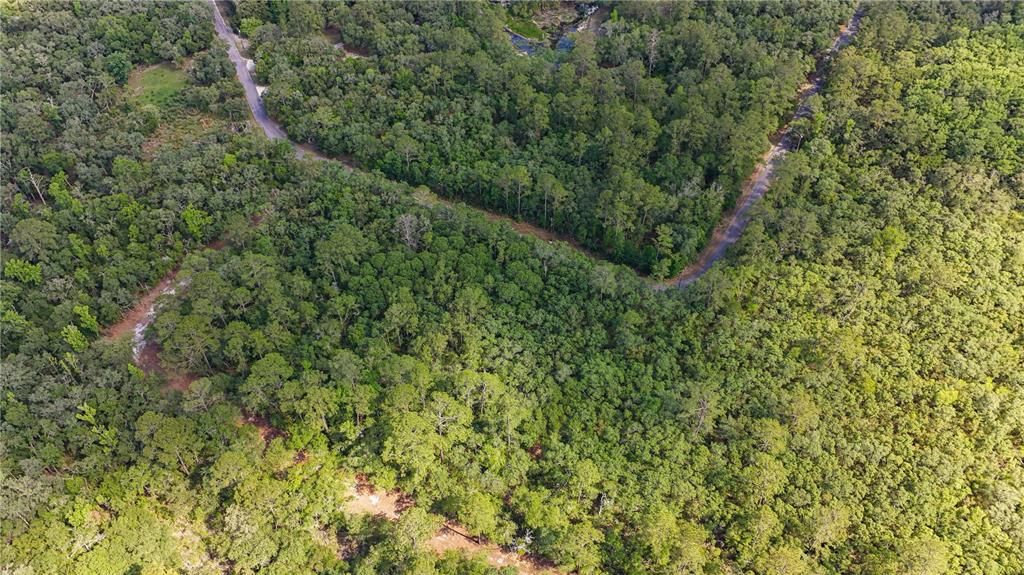 For Sale: $179,900 (7.11 acres)