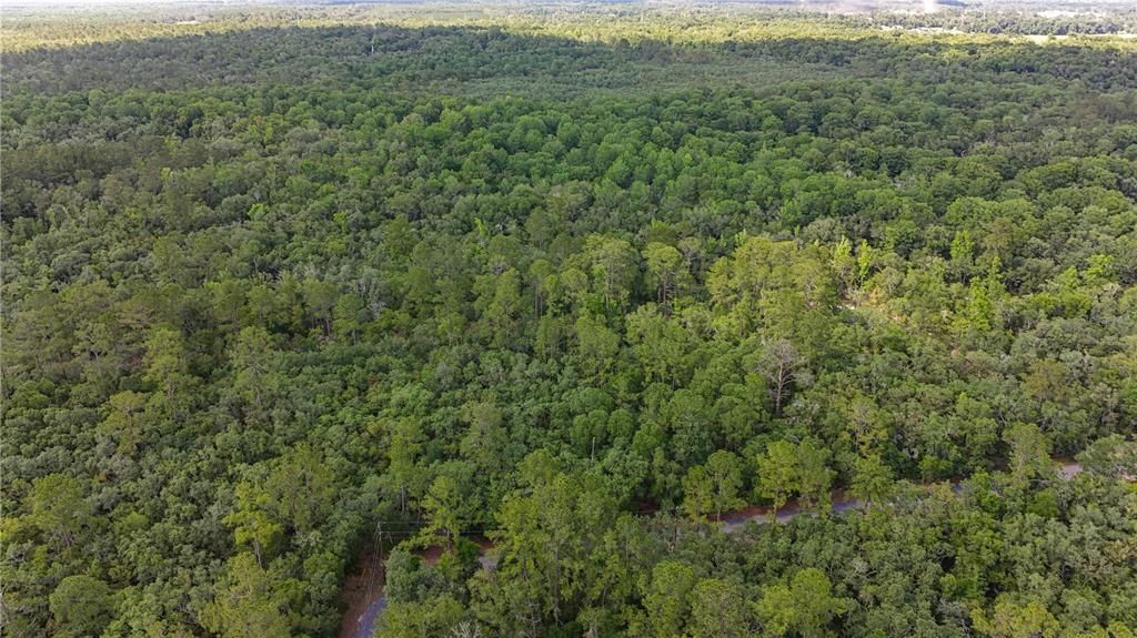 For Sale: $179,900 (7.11 acres)