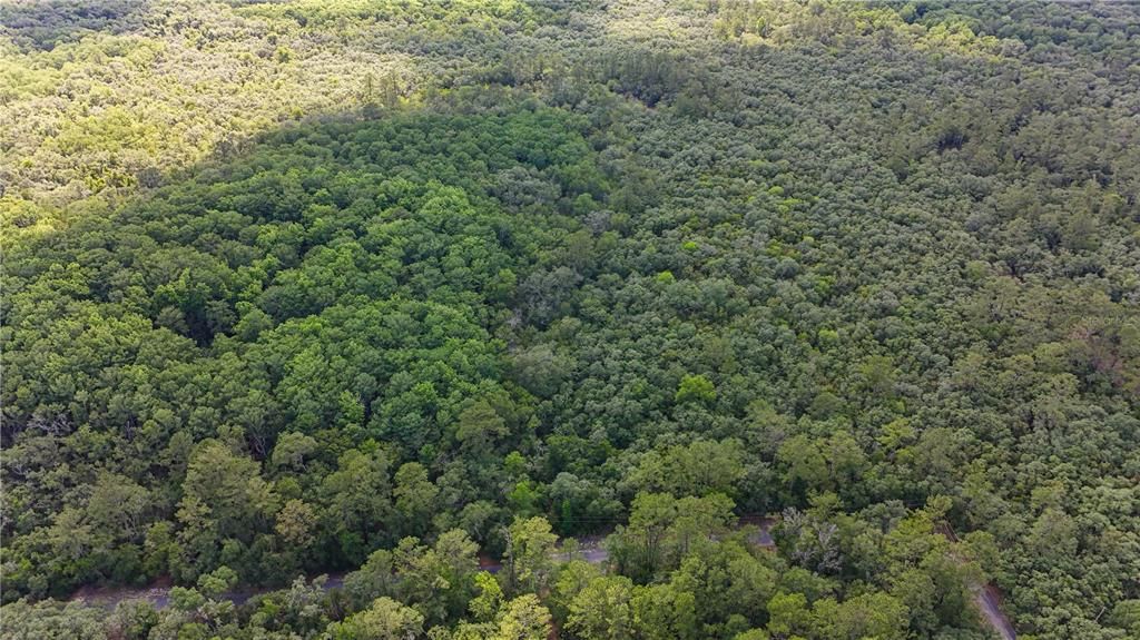 For Sale: $179,900 (7.11 acres)
