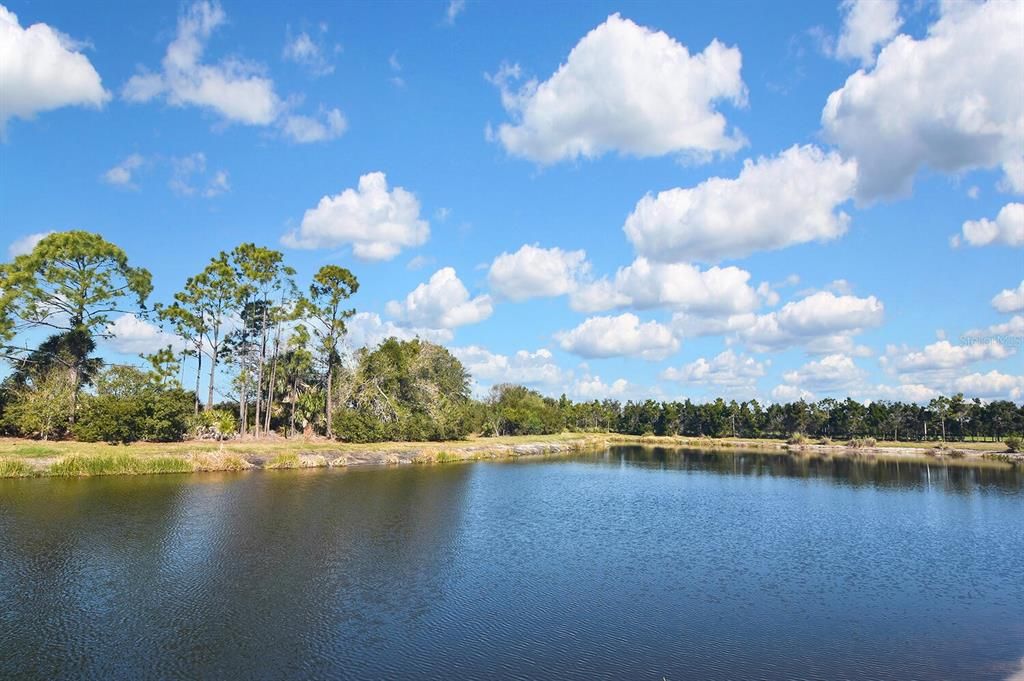 Под контрактом: $445,000 (2 спален, 2 ванн, 1632 Квадратных фут)