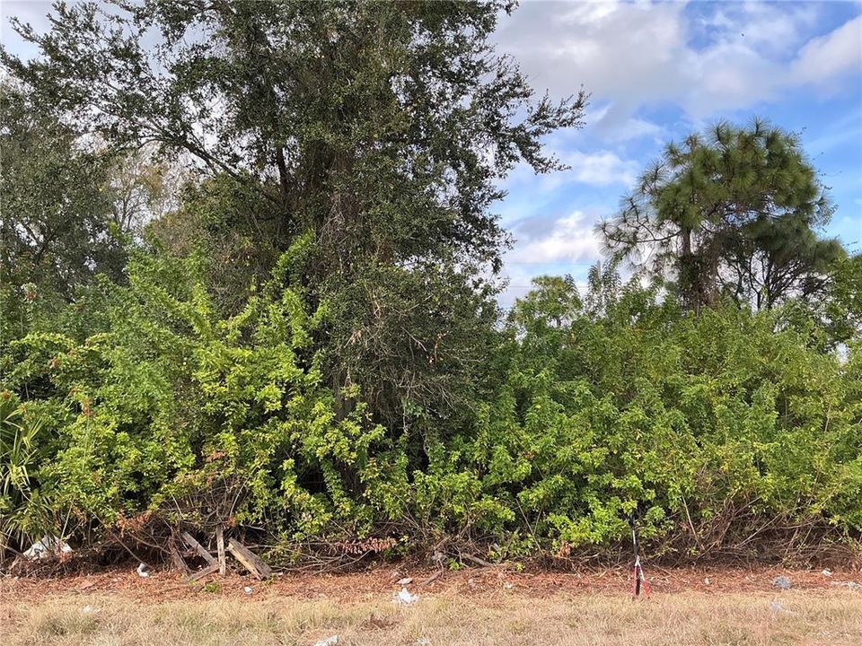 待售: $32,000 (0.25 acres)