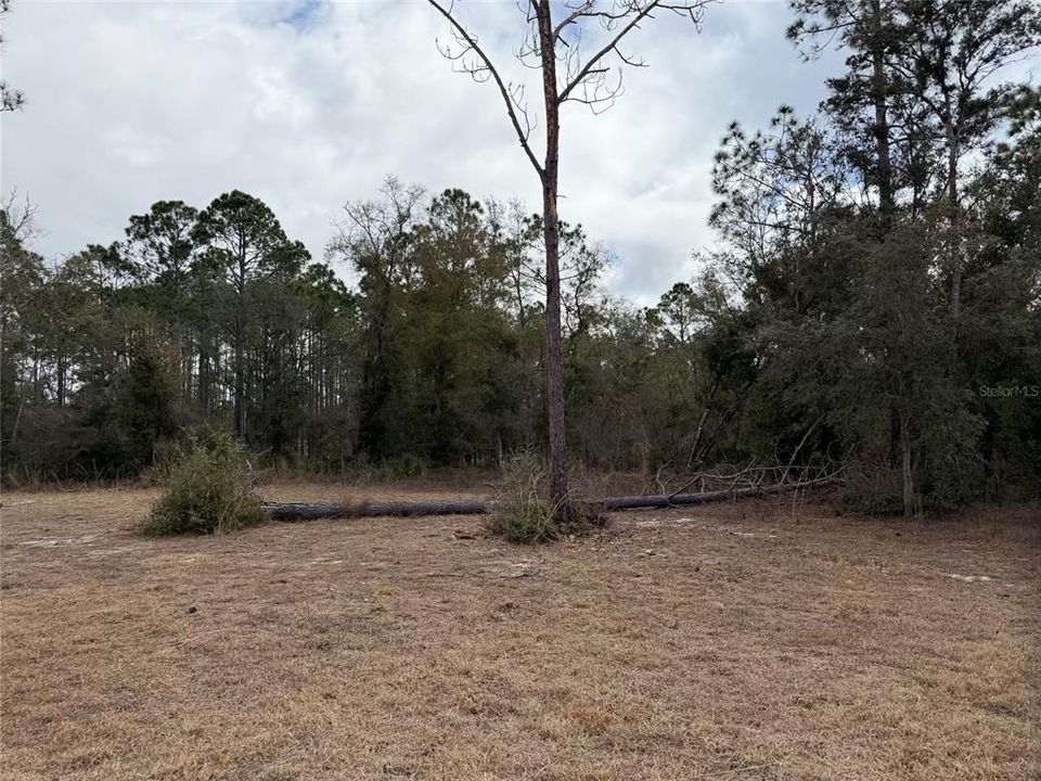 待售: $259,900 (3 贝兹, 2 浴室, 1680 平方英尺)