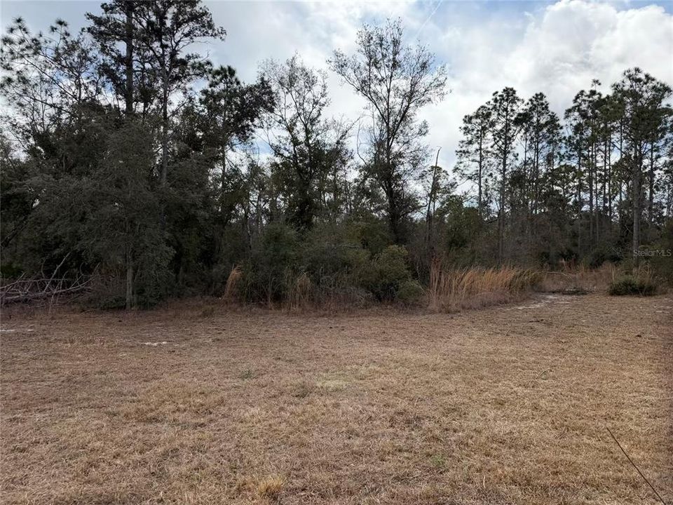 待售: $259,900 (3 贝兹, 2 浴室, 1680 平方英尺)