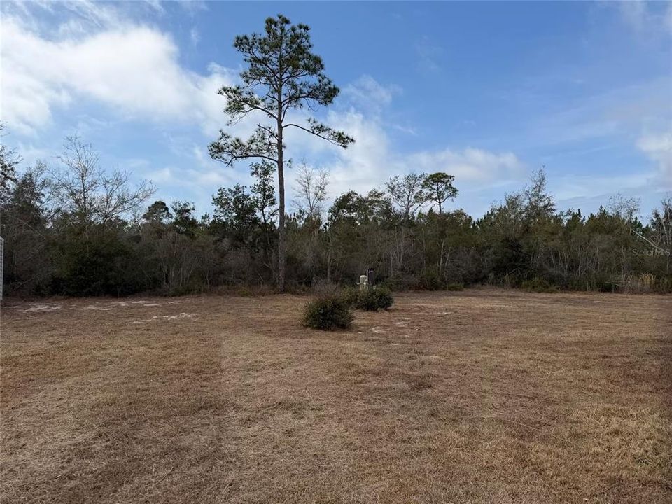 待售: $259,900 (3 贝兹, 2 浴室, 1680 平方英尺)