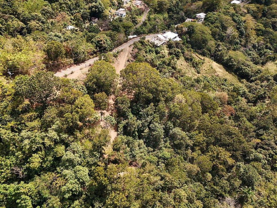 En Venta: $249,000 (3.70 acres)