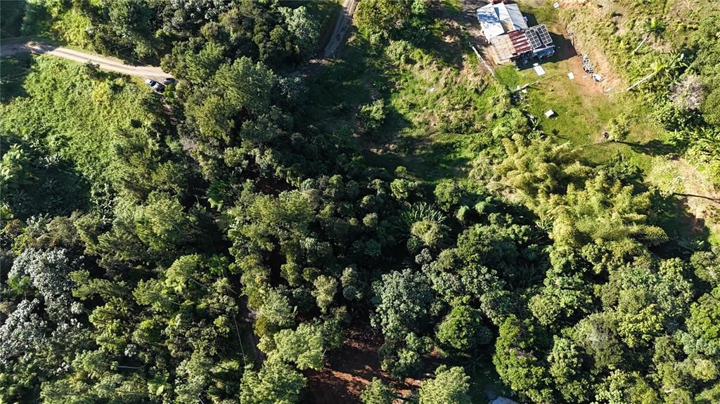 En Venta: $140,000 (1.37 acres)