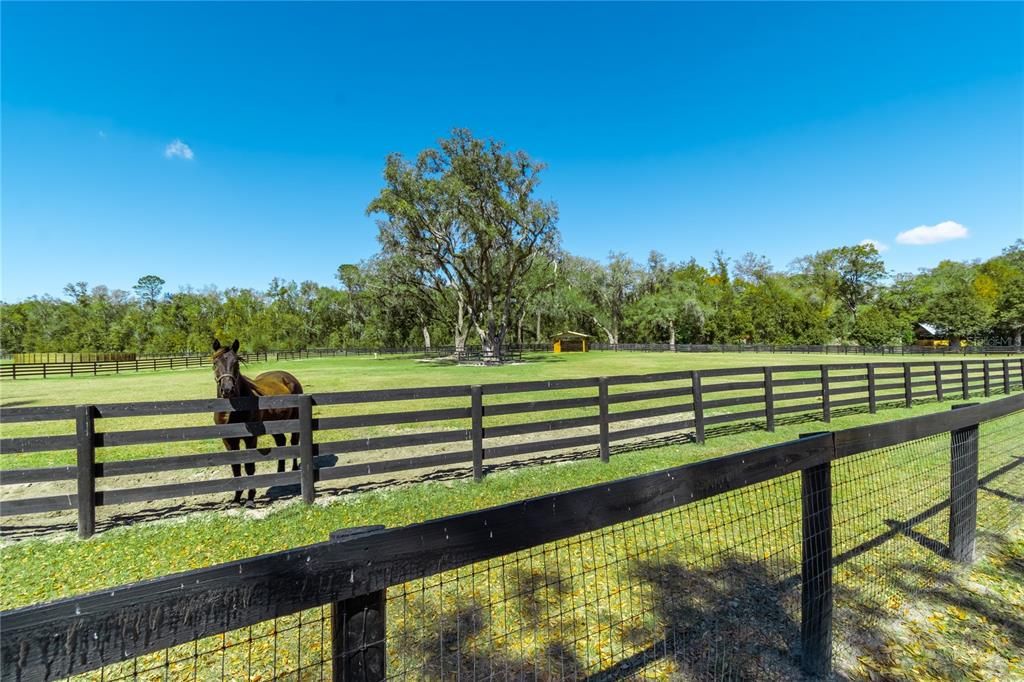 For Sale: $2,400,000 (3 beds, 2 baths, 2410 Square Feet)