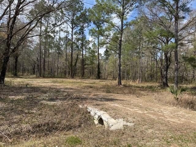 En Venta: $79,000 (2.27 acres)