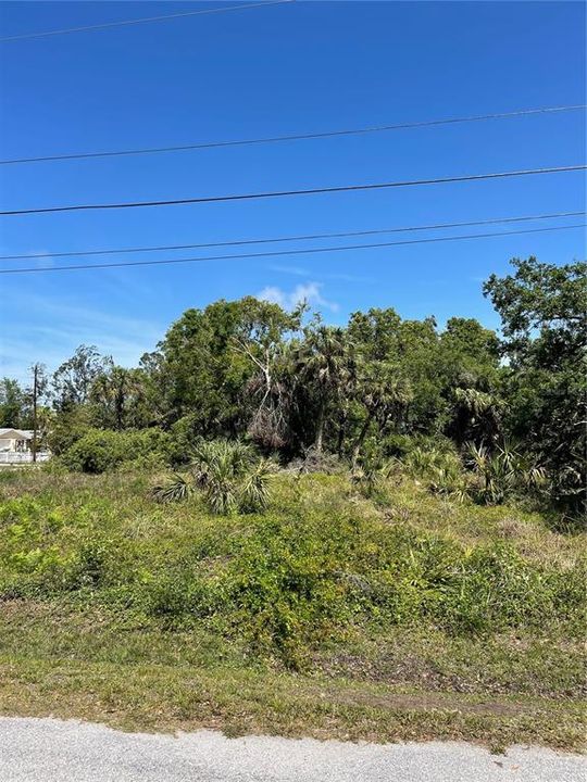 For Sale: $68,000 (0.21 acres)