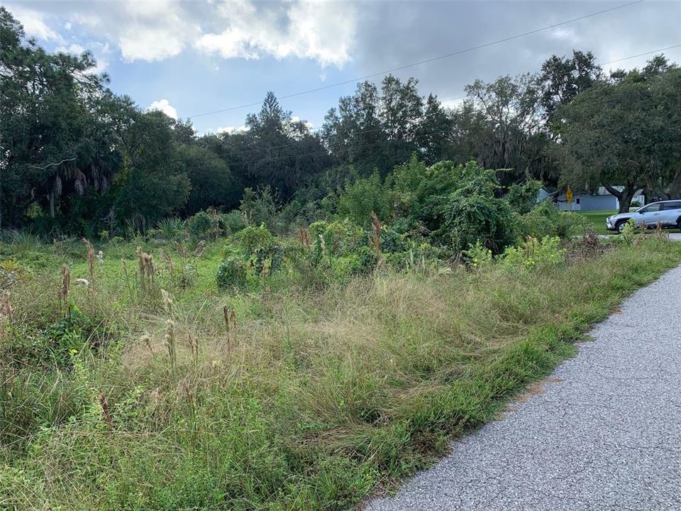 For Sale: $68,000 (0.21 acres)