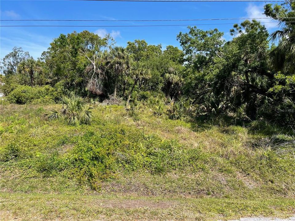 For Sale: $68,000 (0.21 acres)