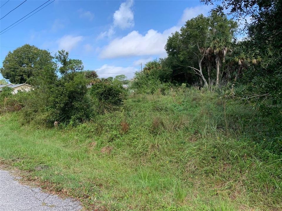 For Sale: $68,000 (0.21 acres)