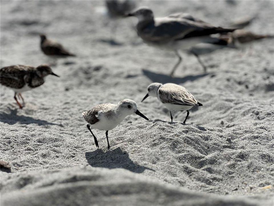 待售: $475,000 (2 贝兹, 2 浴室, 1357 平方英尺)