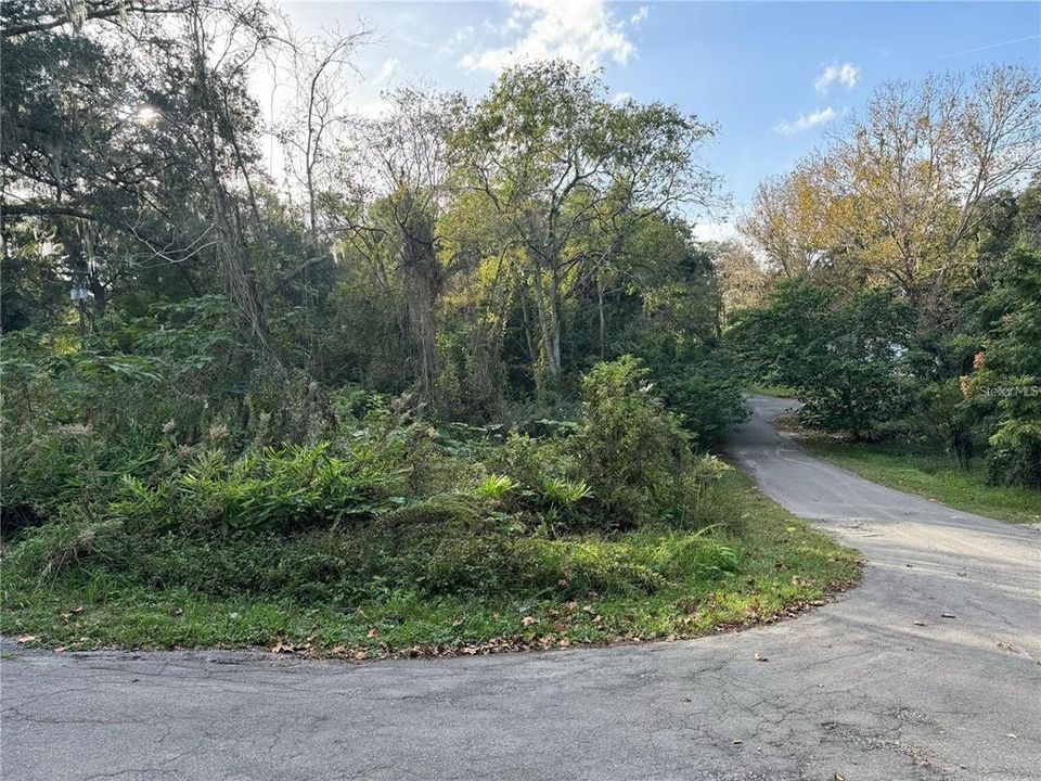 待售: $18,000 (0.24 acres)