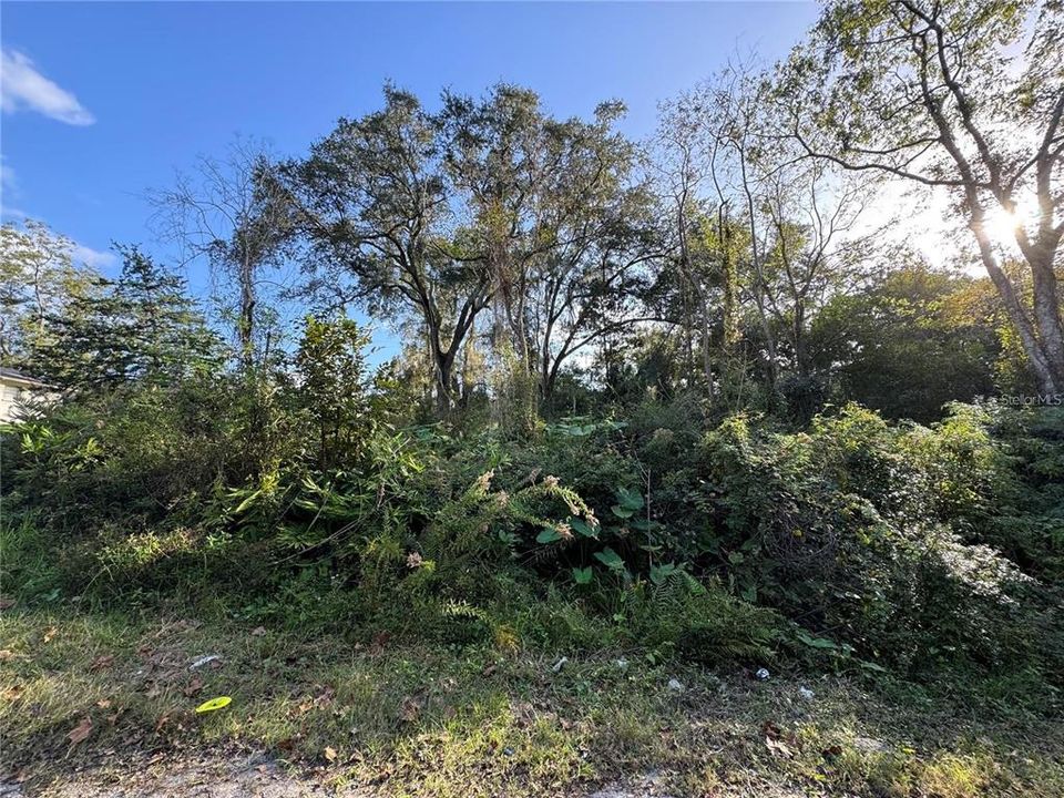 待售: $18,000 (0.24 acres)