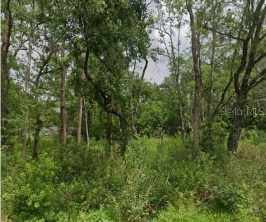 На продажу: $84,900 (0.55 acres)