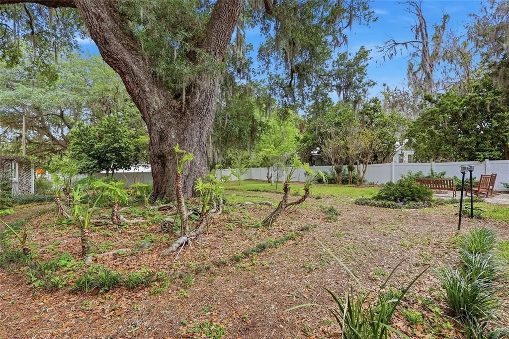 For Sale: $375,000 (3 beds, 2 baths, 1774 Square Feet)