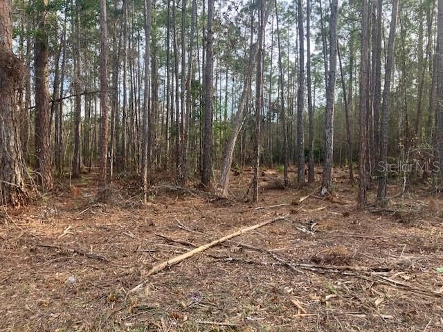 待售: $69,900 (1.14 acres)