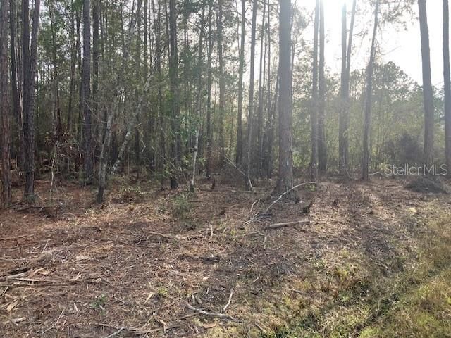 待售: $69,900 (1.14 acres)
