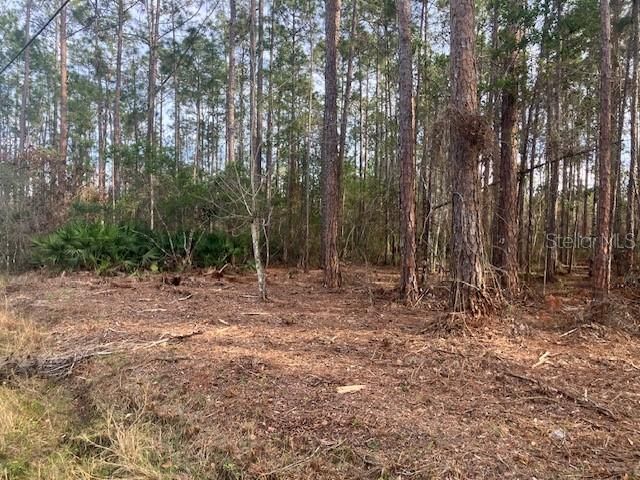 待售: $69,900 (1.14 acres)