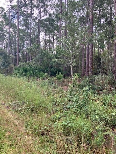 待售: $59,999 (1.14 acres)