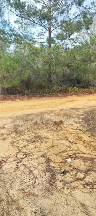 待售: $9,900 (0.19 acres)