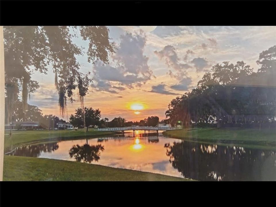 For Sale: $145,000 (1 beds, 1 baths, 491 Square Feet)