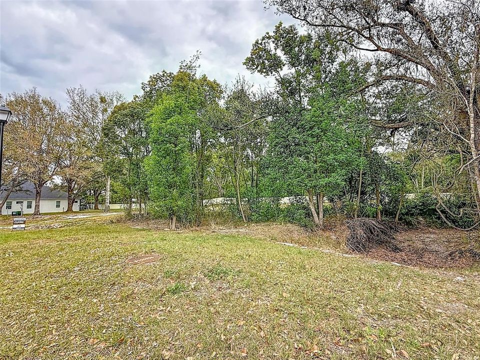 For Sale: $385,000 (1.17 acres)