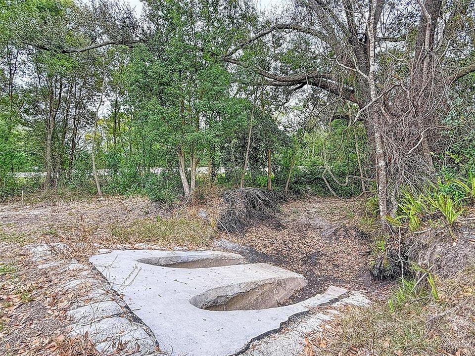 For Sale: $385,000 (1.17 acres)