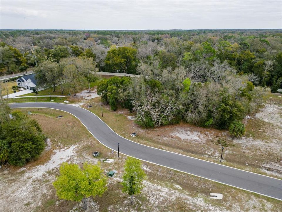 For Sale: $385,000 (1.17 acres)