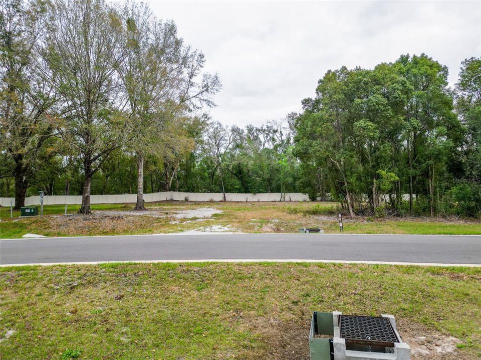 For Sale: $385,000 (1.17 acres)
