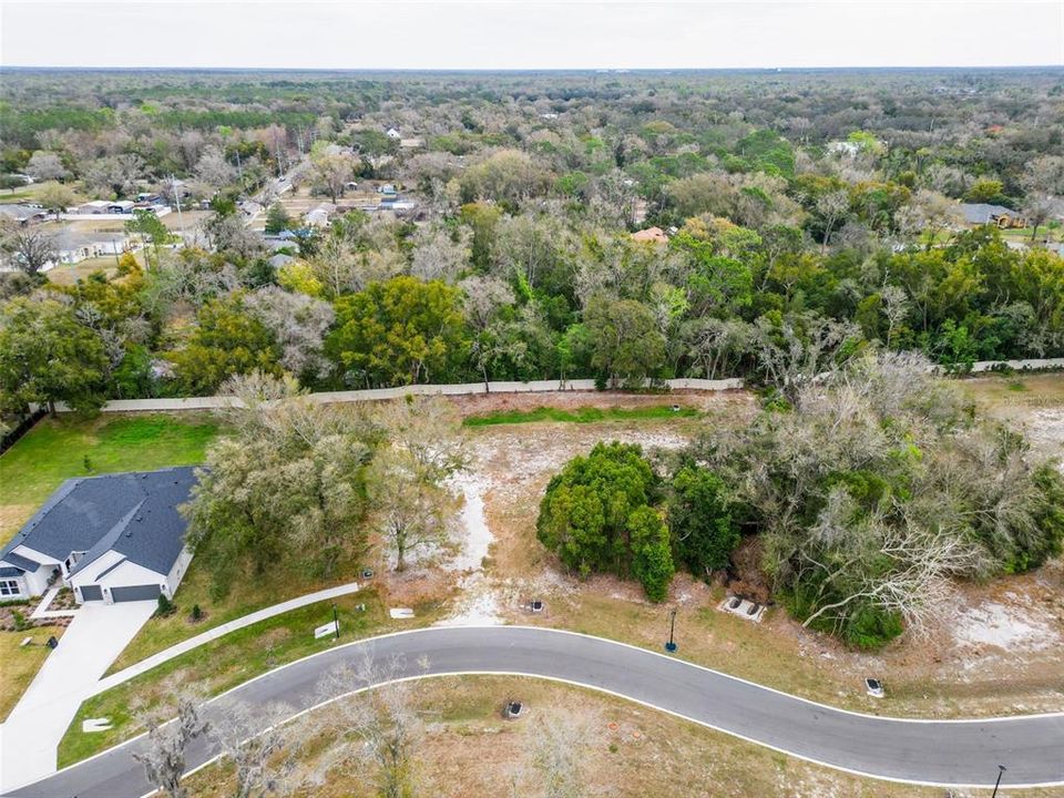For Sale: $385,000 (1.17 acres)