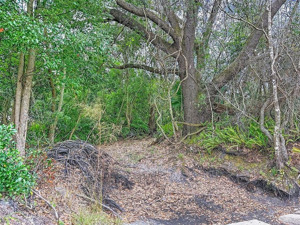 For Sale: $385,000 (1.17 acres)