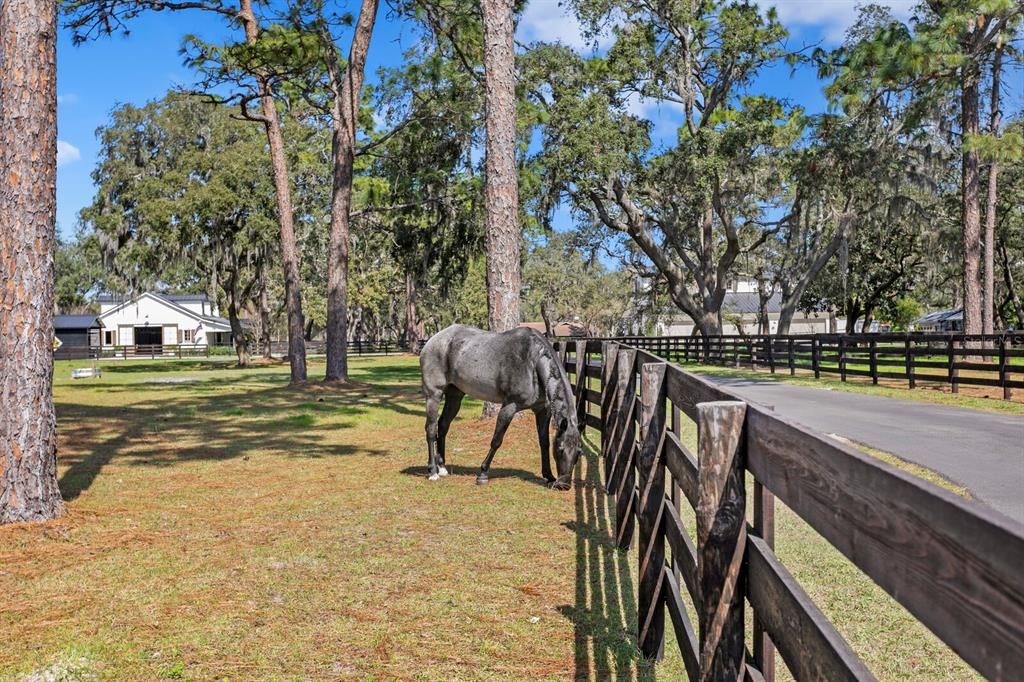 На продажу: $5,995,000 (12.44 acres)