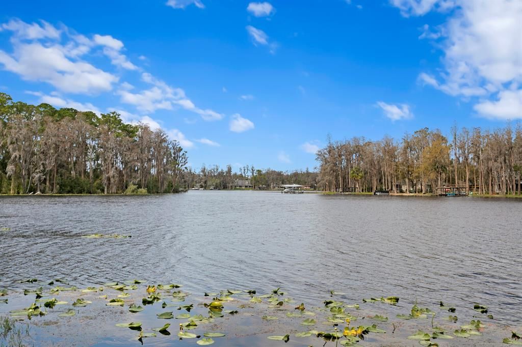 На продажу: $5,995,000 (12.44 acres)