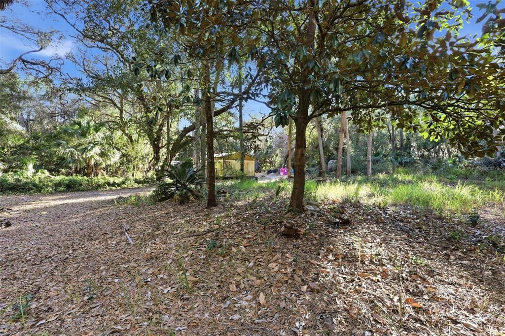 На продажу: $1,200,000 (3.68 acres)