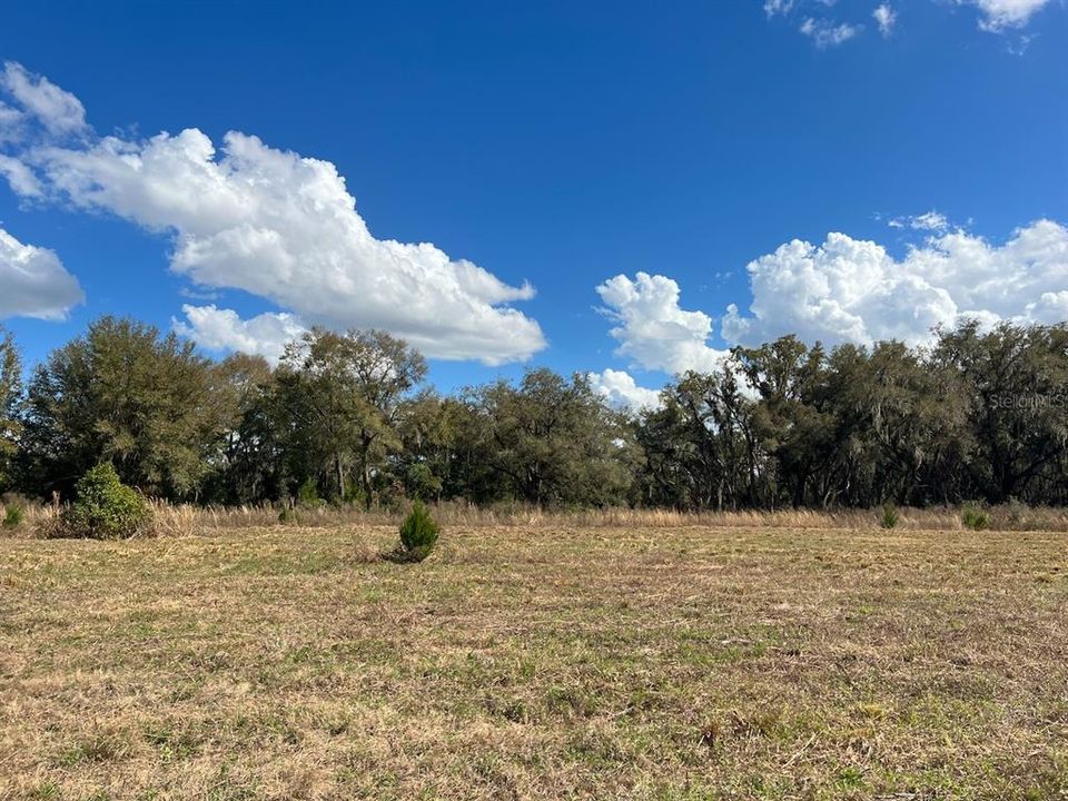 待售: $3,299,455 (68.03 acres)