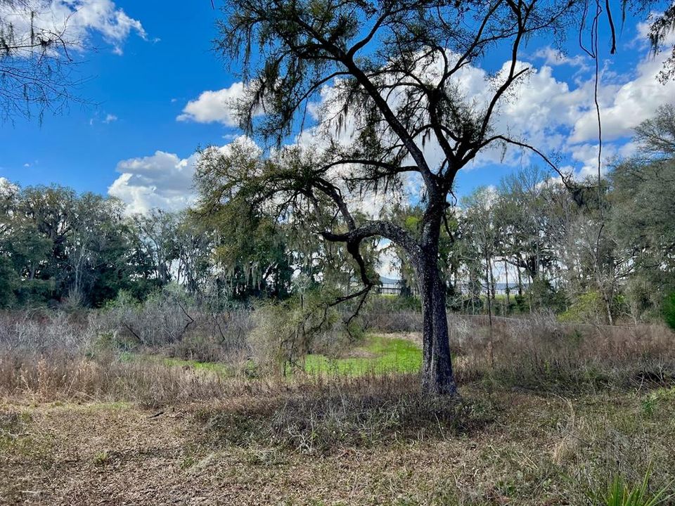 待售: $3,299,455 (68.03 acres)