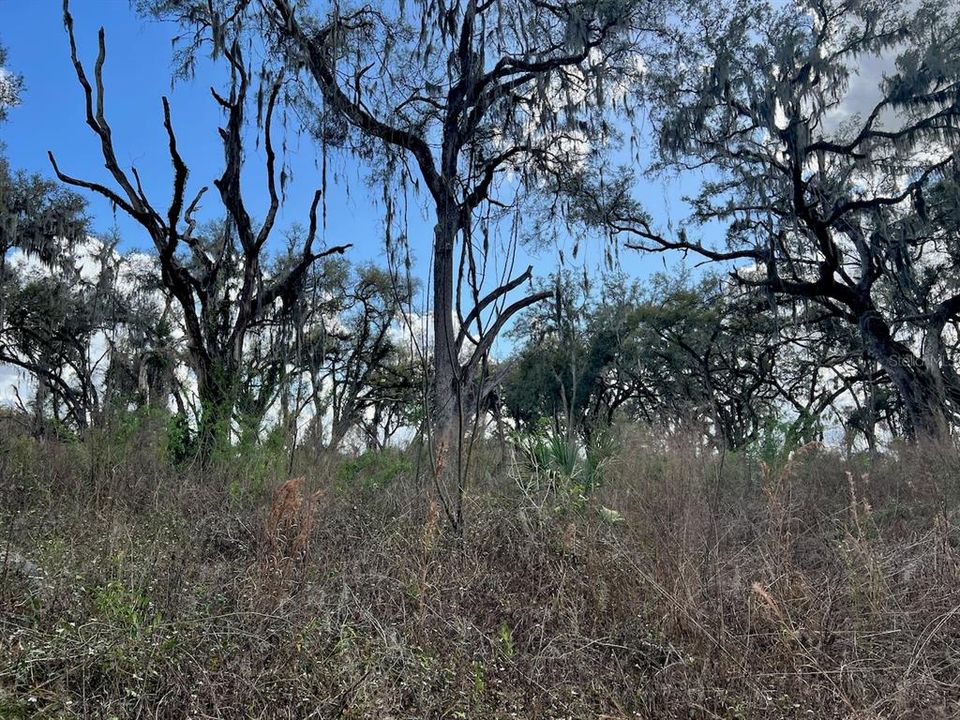 待售: $3,299,455 (68.03 acres)